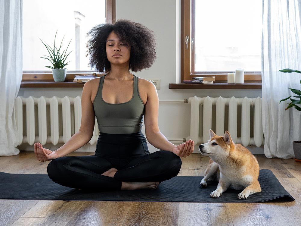 Shop THC Gummies Australia